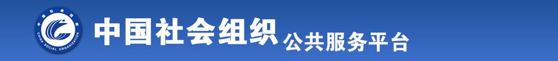 骚货用力视频全国社会组织信息查询